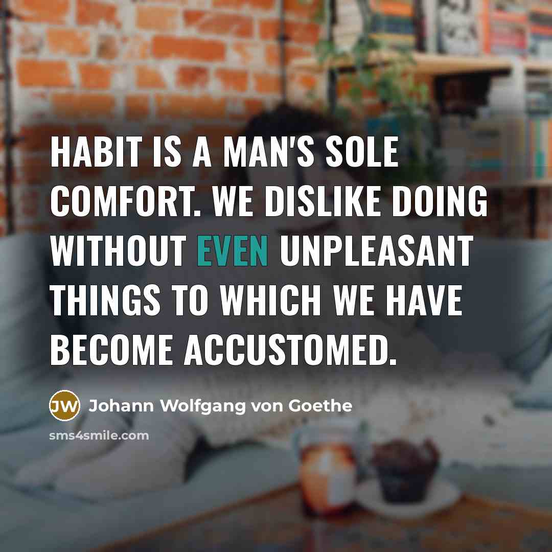 “Habit is a man's sole comfort. We dislike doing without…” quote by Johann Wolfgang von Goethe