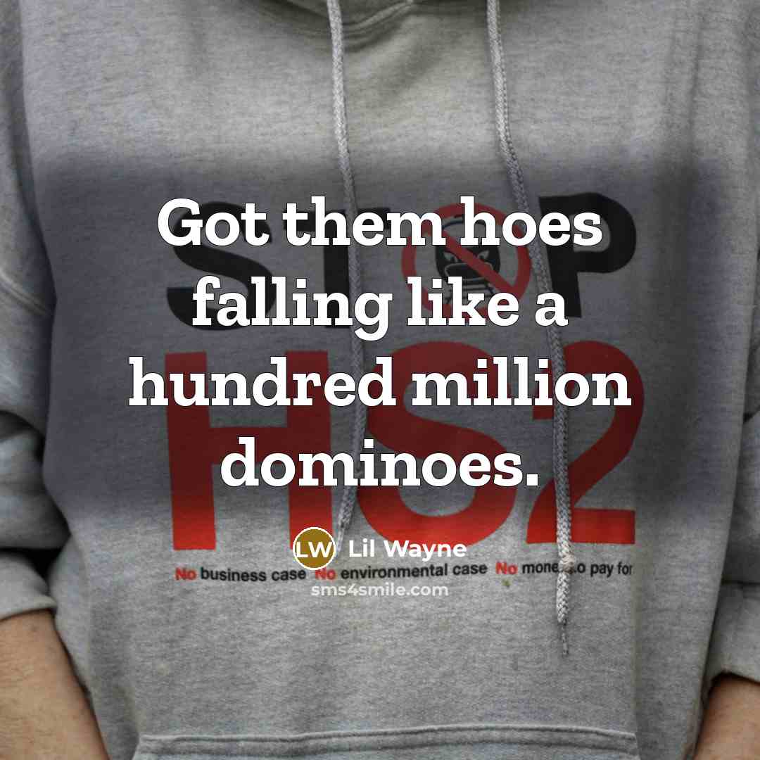 “Got them hoes falling like a hundred million dominoes.…” quote by Lil Wayne