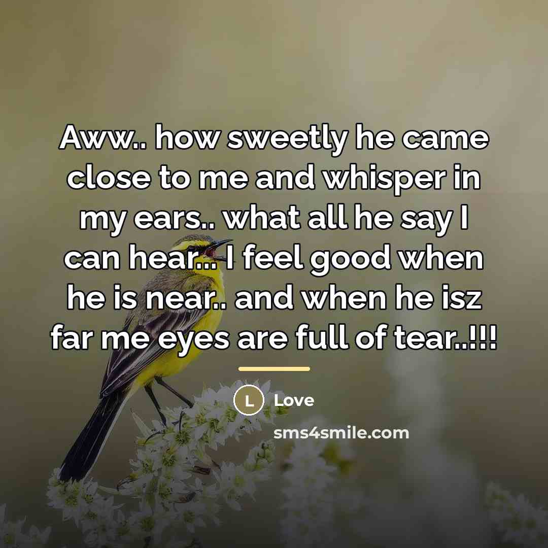 “Aww.. how sweetly he came close to me and whisper…” quote by LOVE