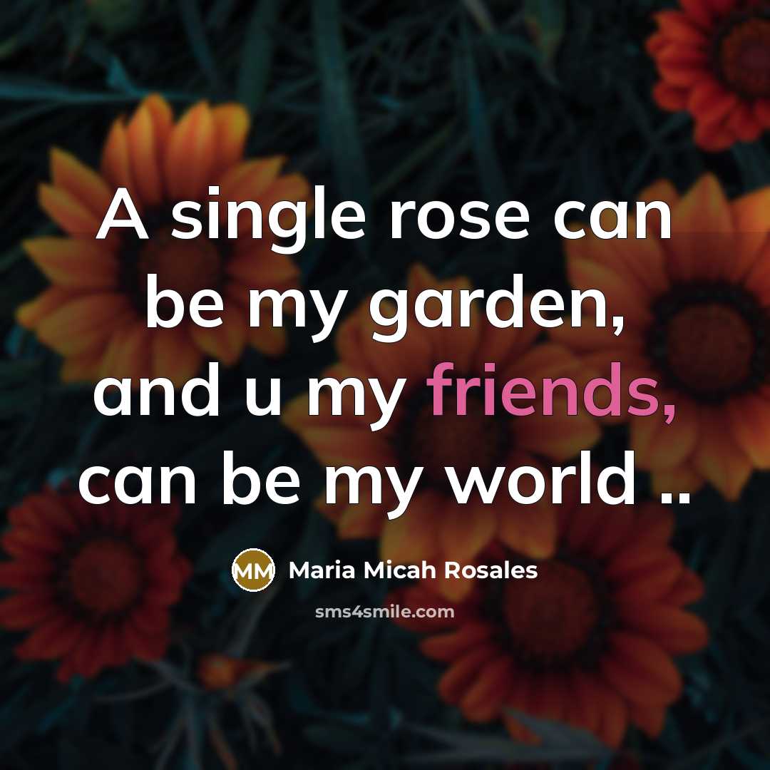 “A single rose can be my garden, and u my friends, can be my world ..” quote by Maria Micah Rosales