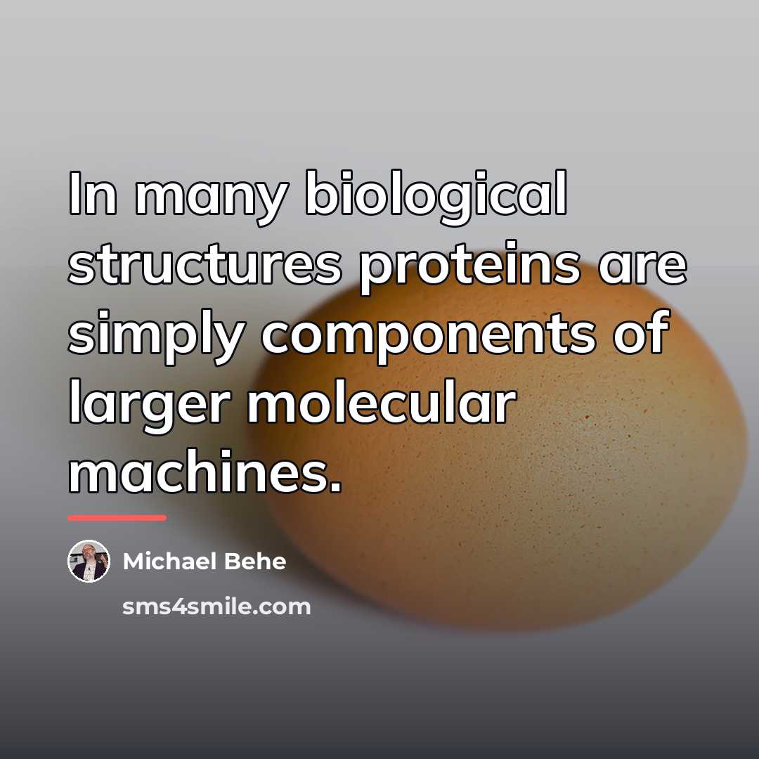 “In many biological structures proteins are simply components of larger…” quote by Michael Behe