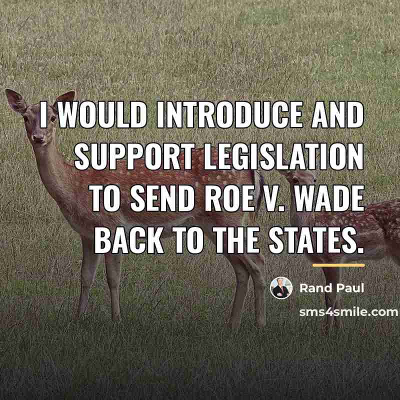 “I would introduce and support legislation to send Roe v.…” quote by Rand Paul
