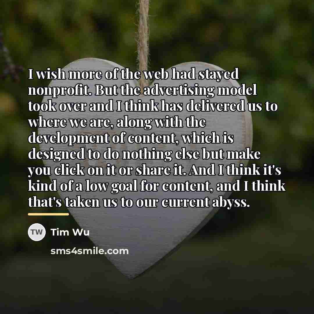 “I wish more of the web had stayed nonprofit. But…” quote by Tim Wu
