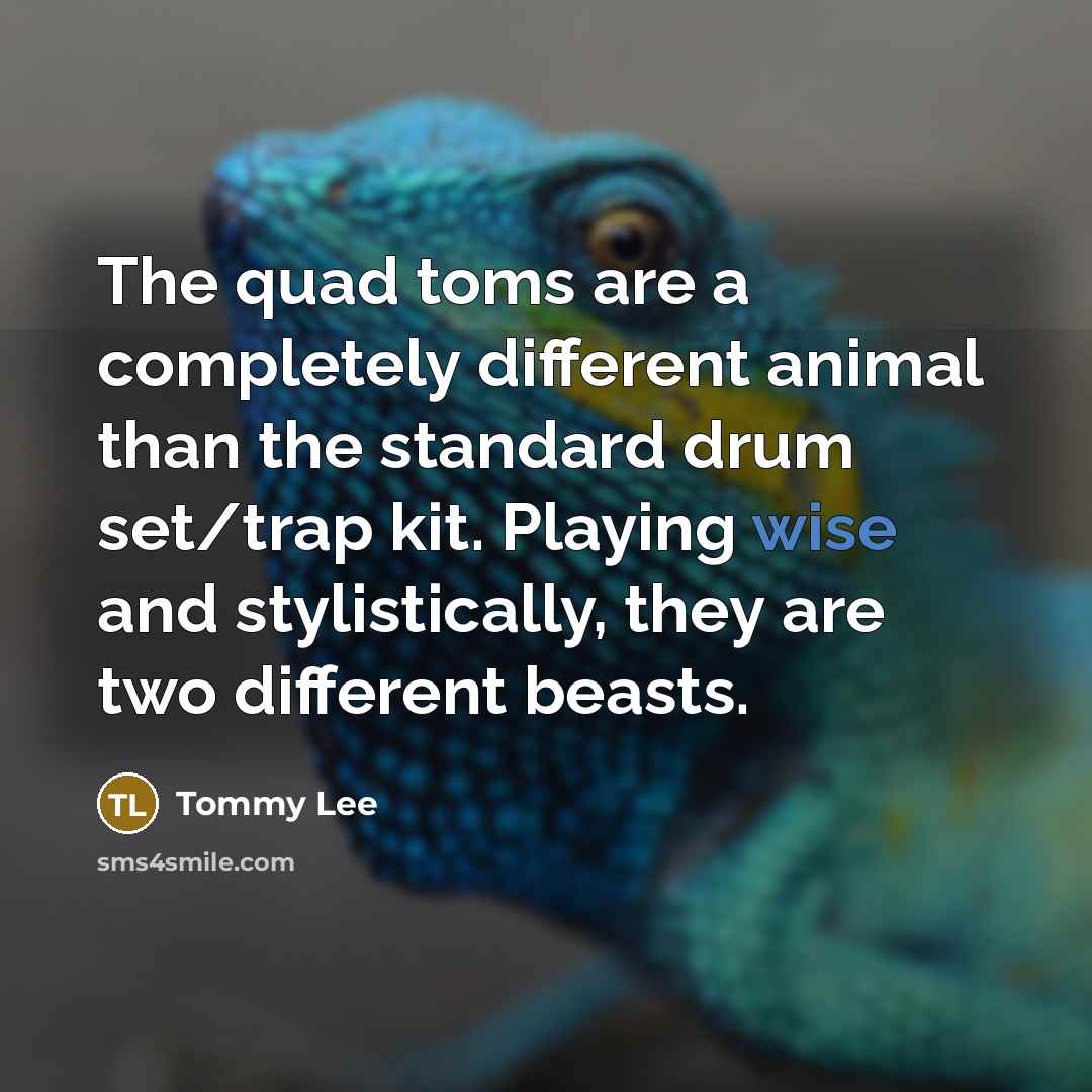 “The quad toms are a completely different animal than the…” quote by Tommy Lee