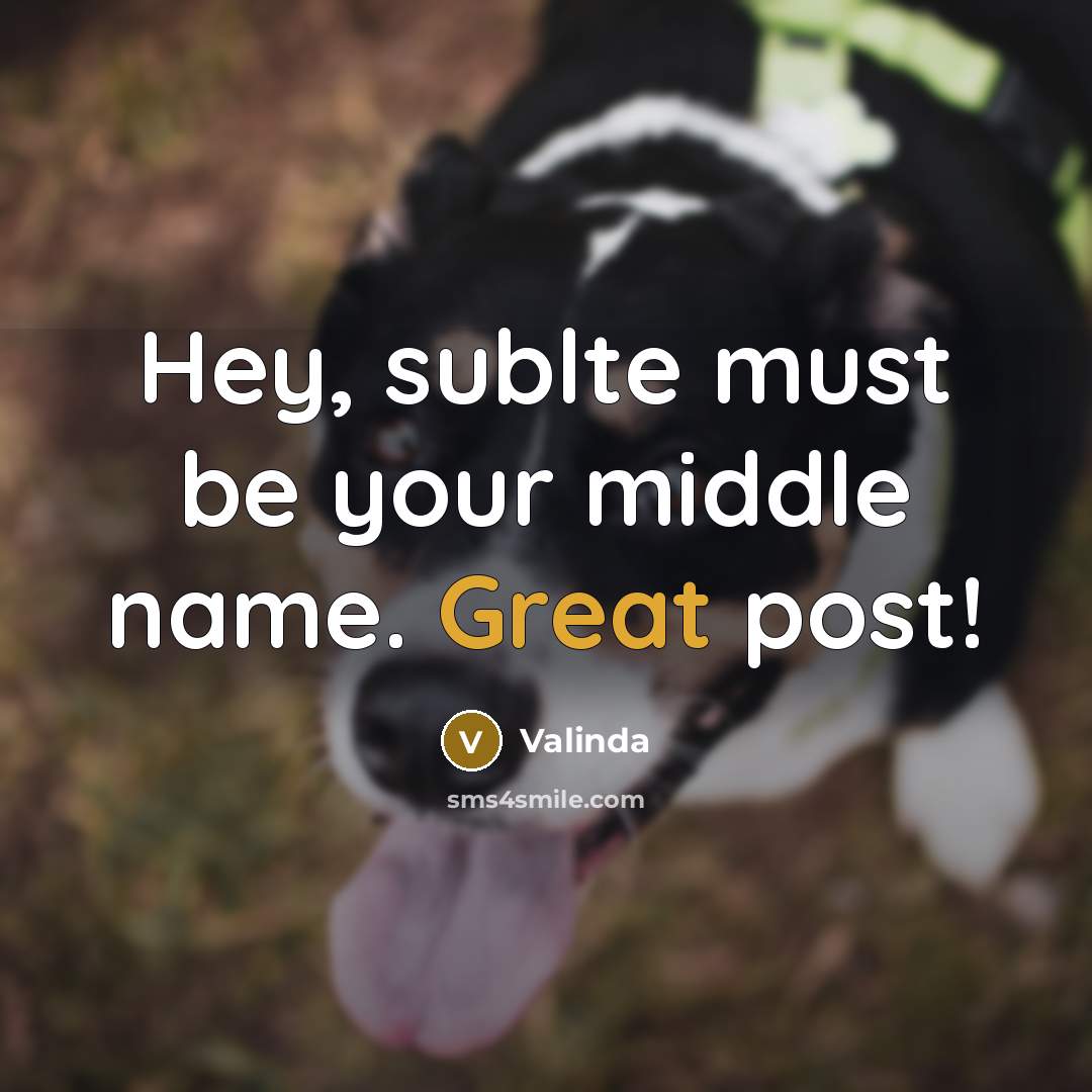 “Hey, sublte must be your middle name. Great post!” quote by Valinda