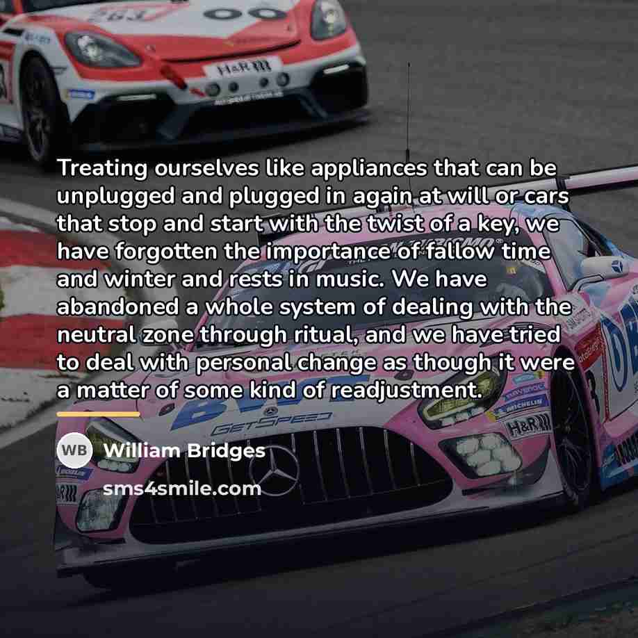 “Treating ourselves like appliances that can be unplugged and plugged…” quote by William Bridges