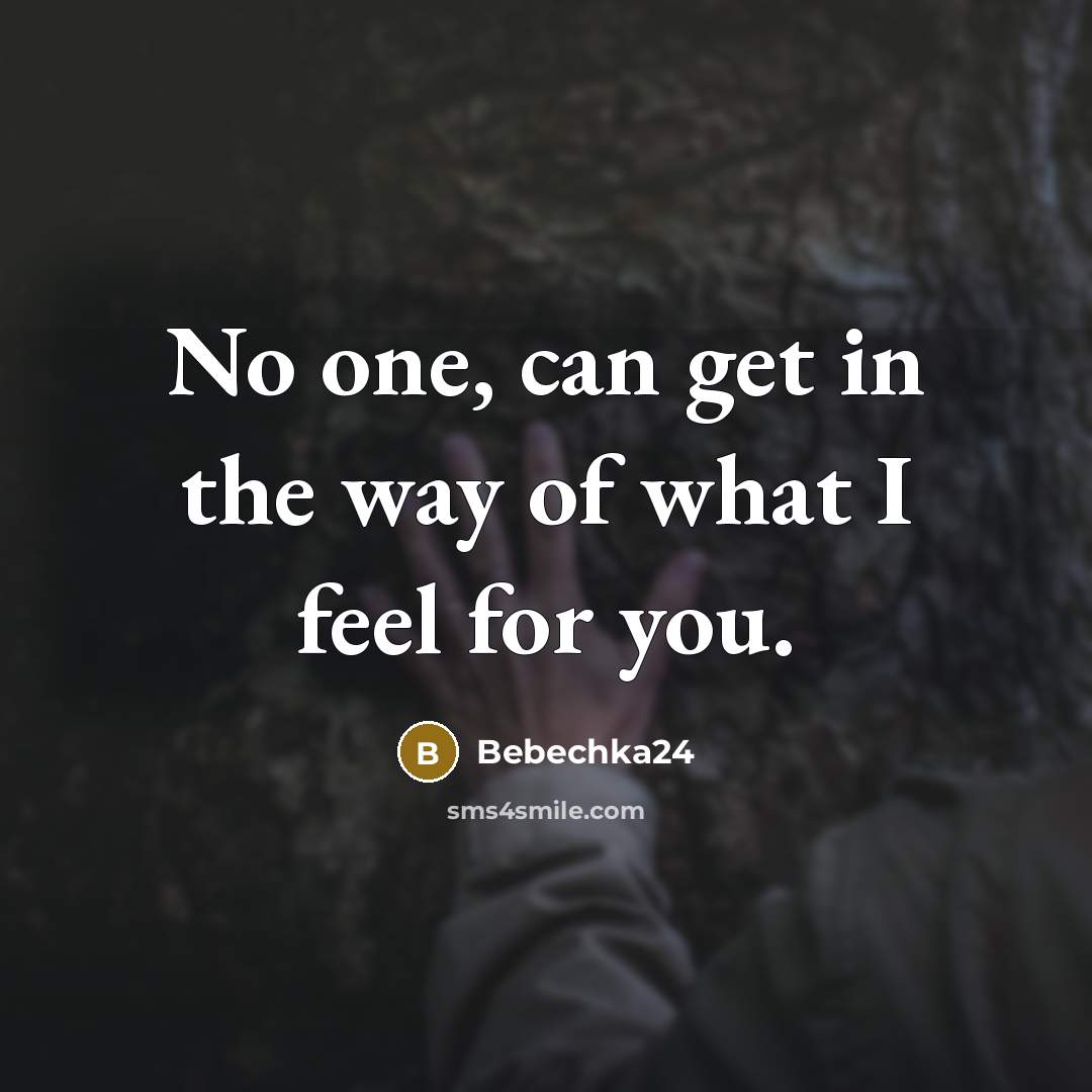 “No one, can get in the way of what I feel for you.” quote by Bebechka24