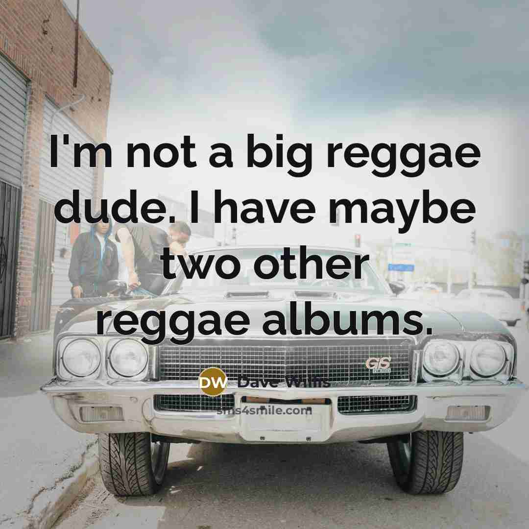 “I'm not a big reggae dude. I have maybe two…” quote by Dave Willis