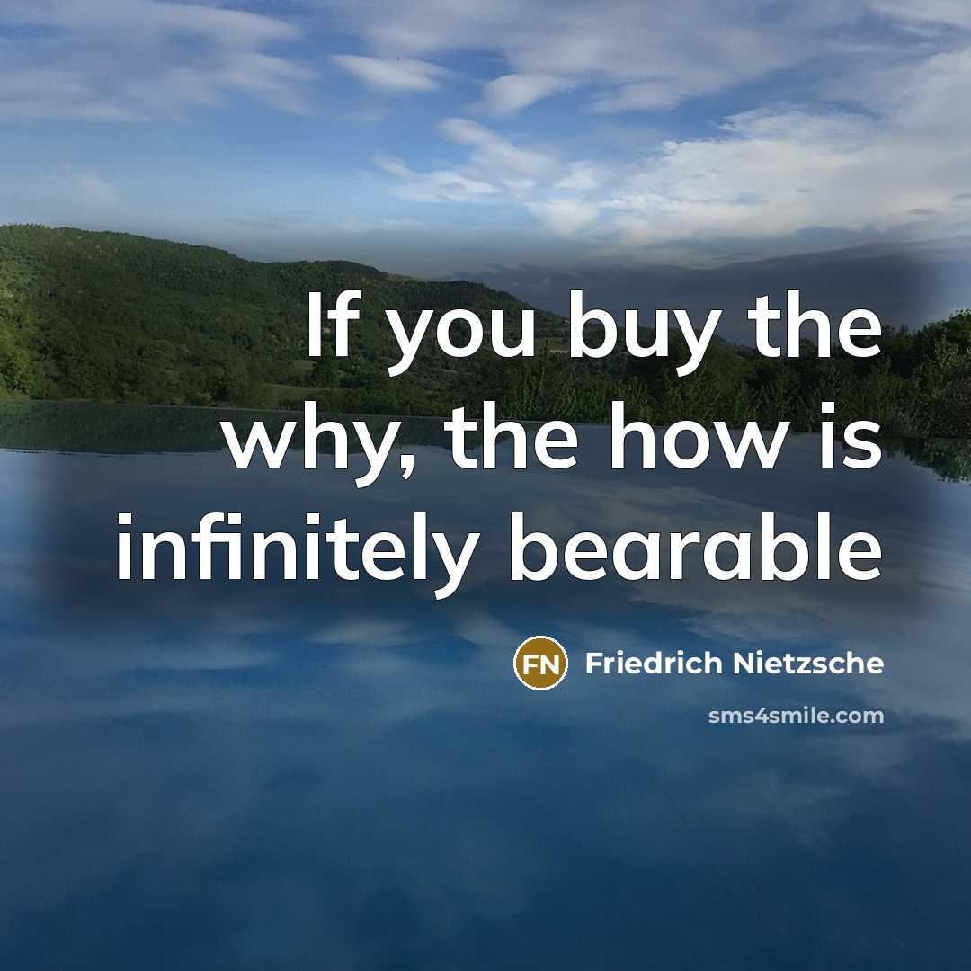 “If you buy the why, the how is infinitely bearable” quote by Friedrich Nietzsche