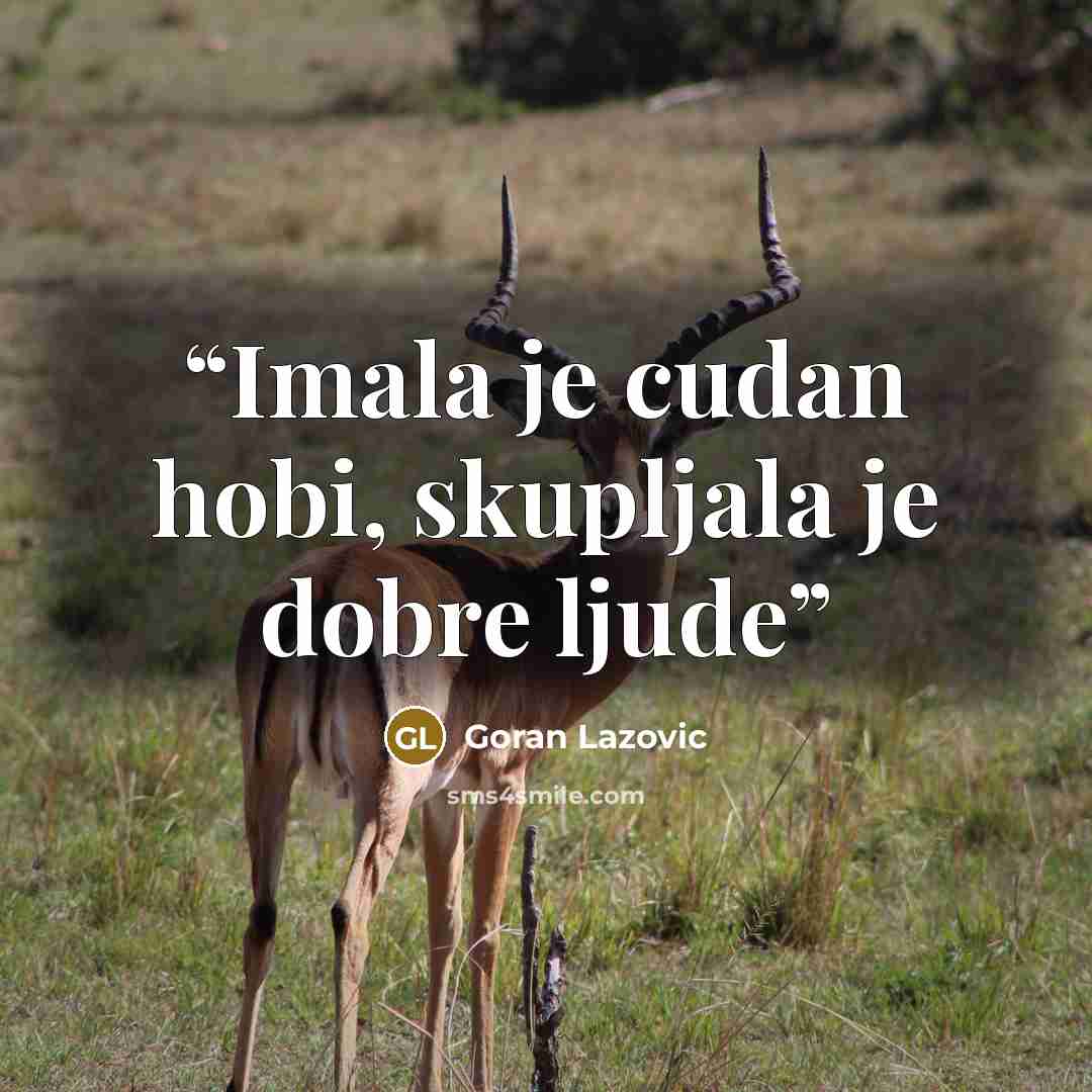 “Imala je cudan hobi, skupljala je dobre ljude” quote by Goran Lazovic