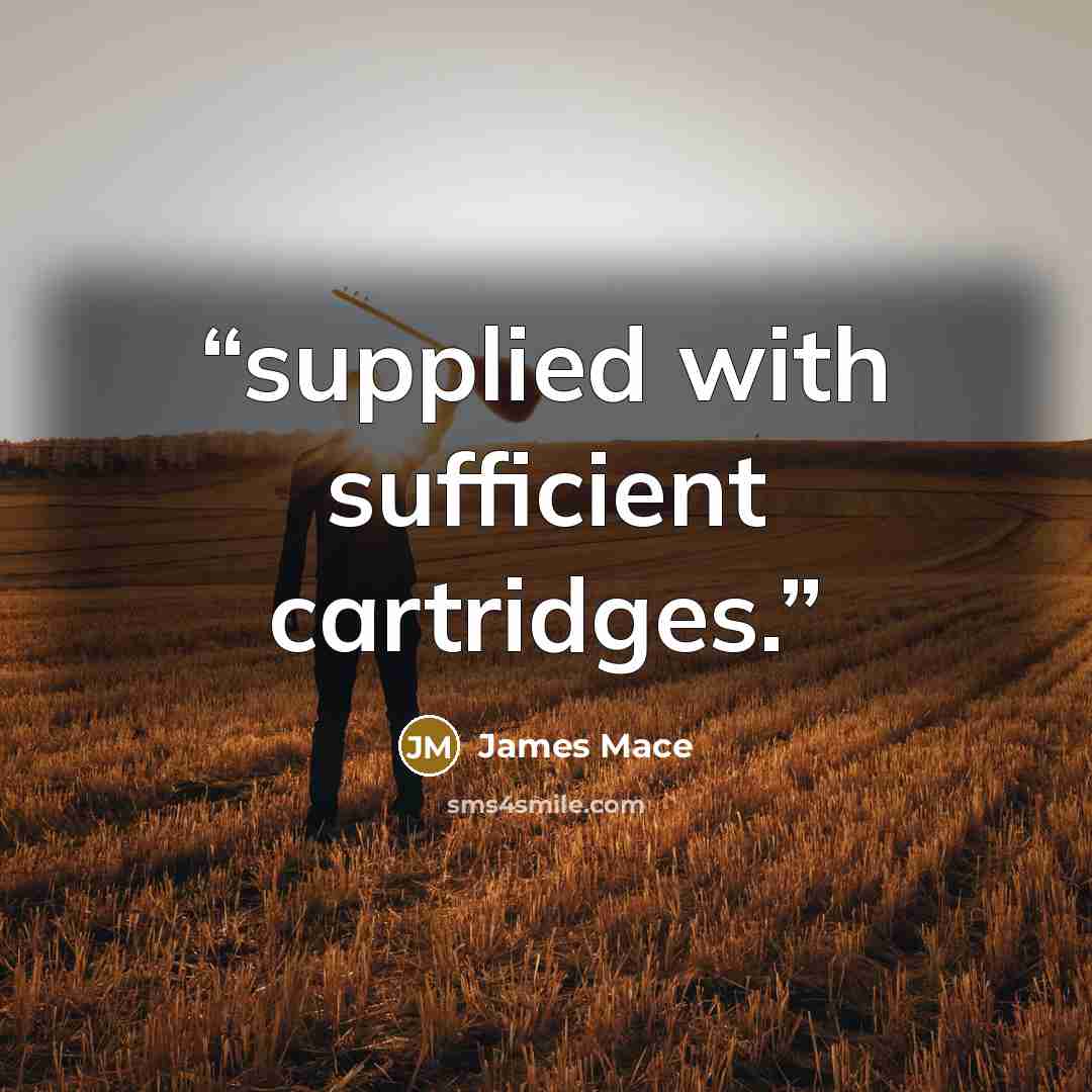 “supplied with sufficient cartridges.” quote by James Mace