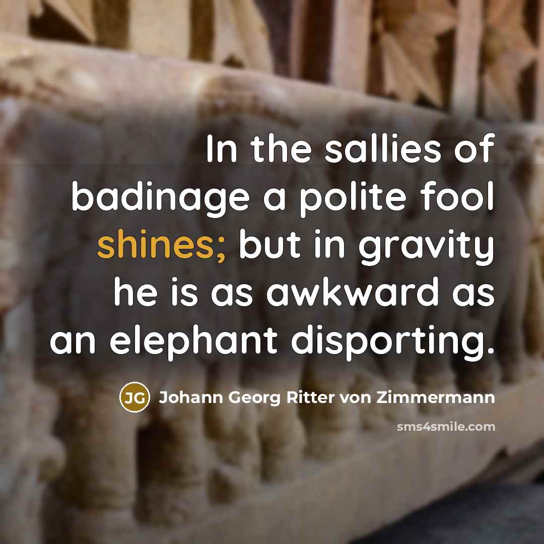 “In the sallies of badinage a polite fool shines; but…” quote by Johann Georg Ritter von Zimmermann