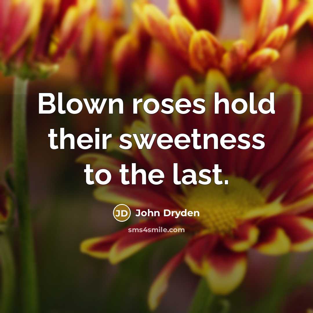 “Blown roses hold their sweetness to the last.…” quote by John Dryden