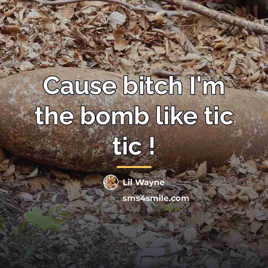 “Cause bitch I'm the bomb like tic tic !…” quote by Lil Wayne