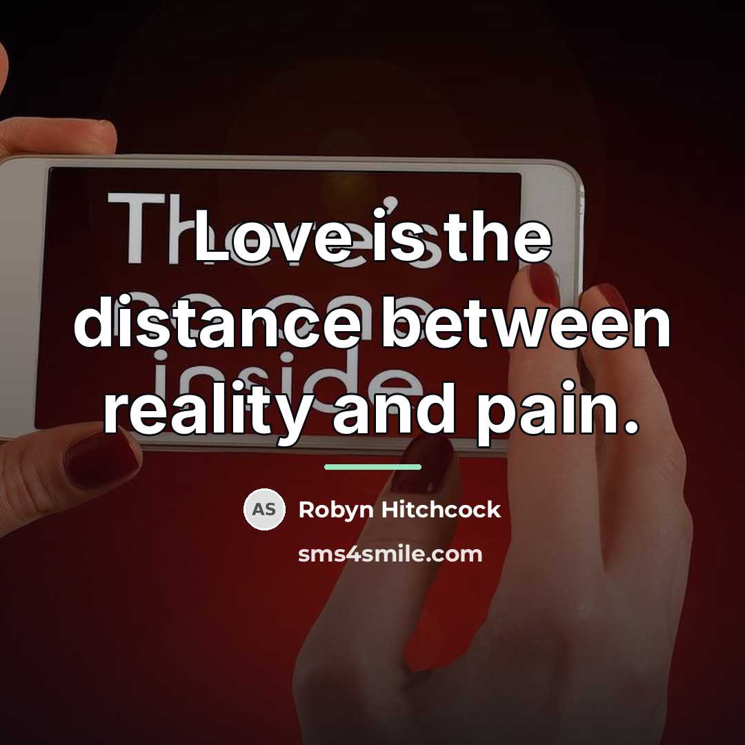 “Love is the distance between reality and pain.…” quote by Robyn Hitchcock