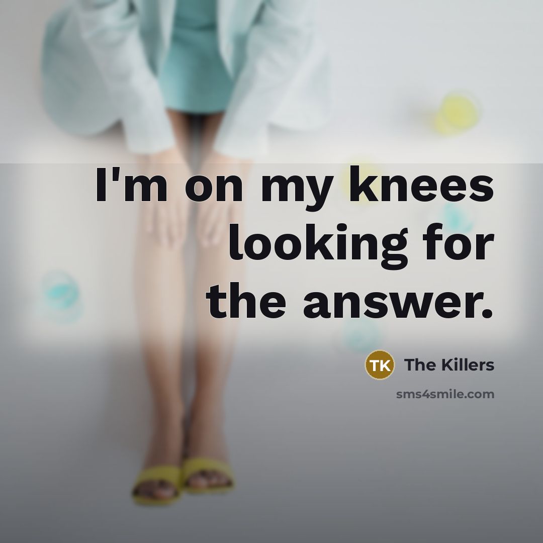 “I'm on my knees looking for the answer.…” quote by The Killers