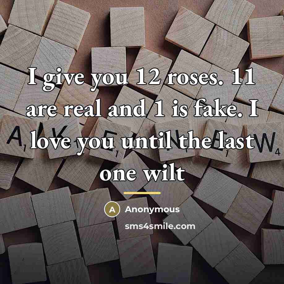 “I give you 12 roses. 11 are real and 1…” quote by Anonymous