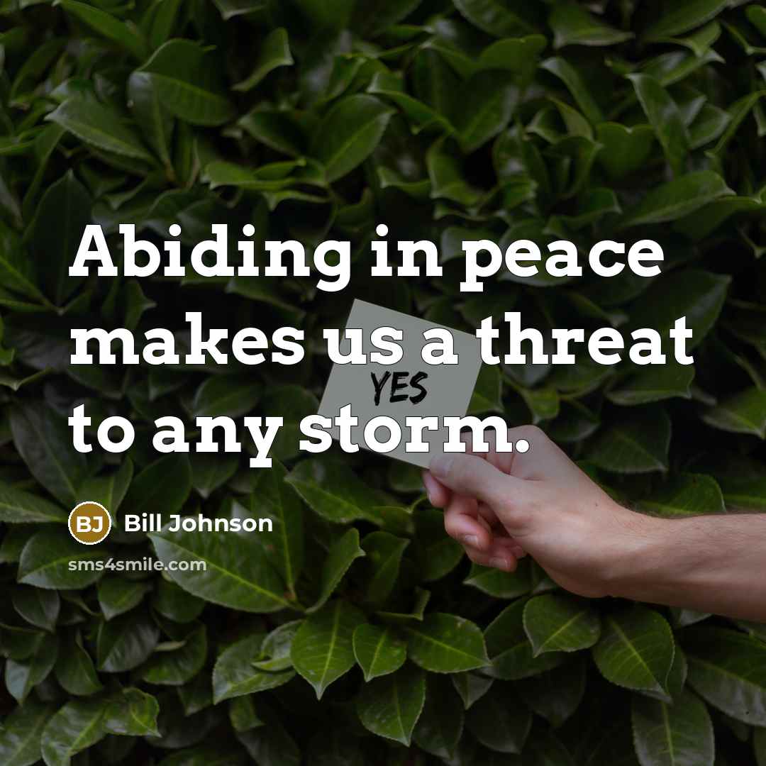 “Abiding in peace makes us a threat to any storm.…” quote by Bill Johnson