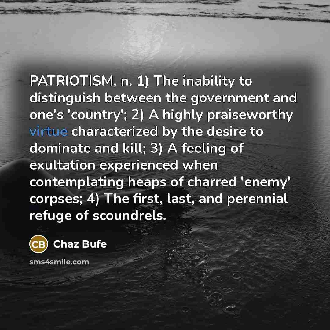 “PATRIOTISM, n. 1) The inability to distinguish between the government…” quote by Chaz Bufe