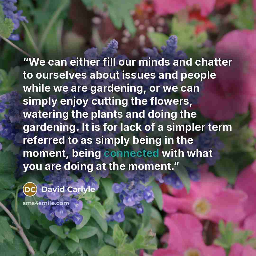 “We can either fill our minds and chatter to ourselves about issues and people while we are gardening, or we can simply enjoy cutting the flowers, watering the plants and doing the gardening. It is for lack of a simpler term referred to as simply being in the moment, being connected with what you…” quote by David Carlyle