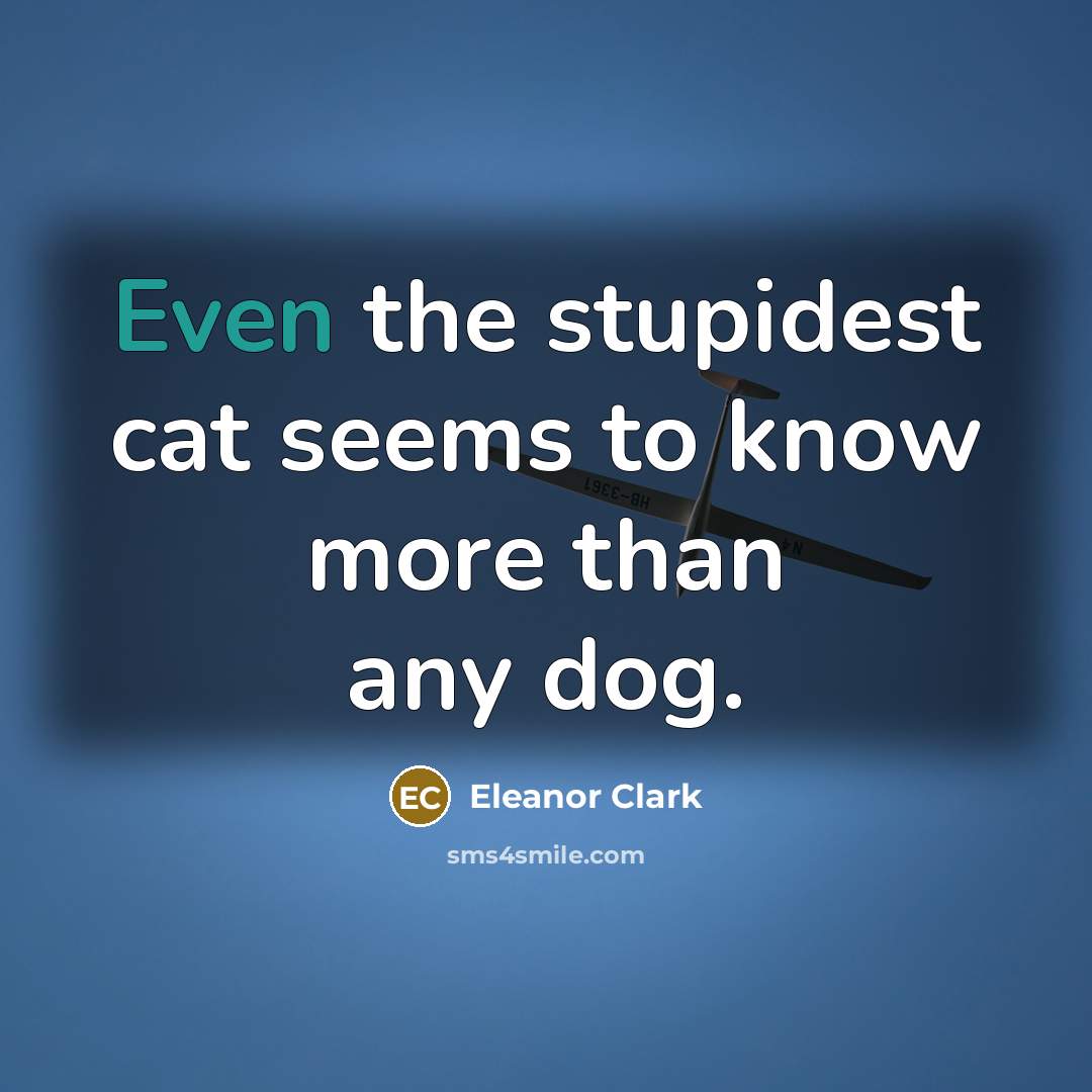 “Even the stupidest cat seems to know more than any…” quote by Eleanor Clark