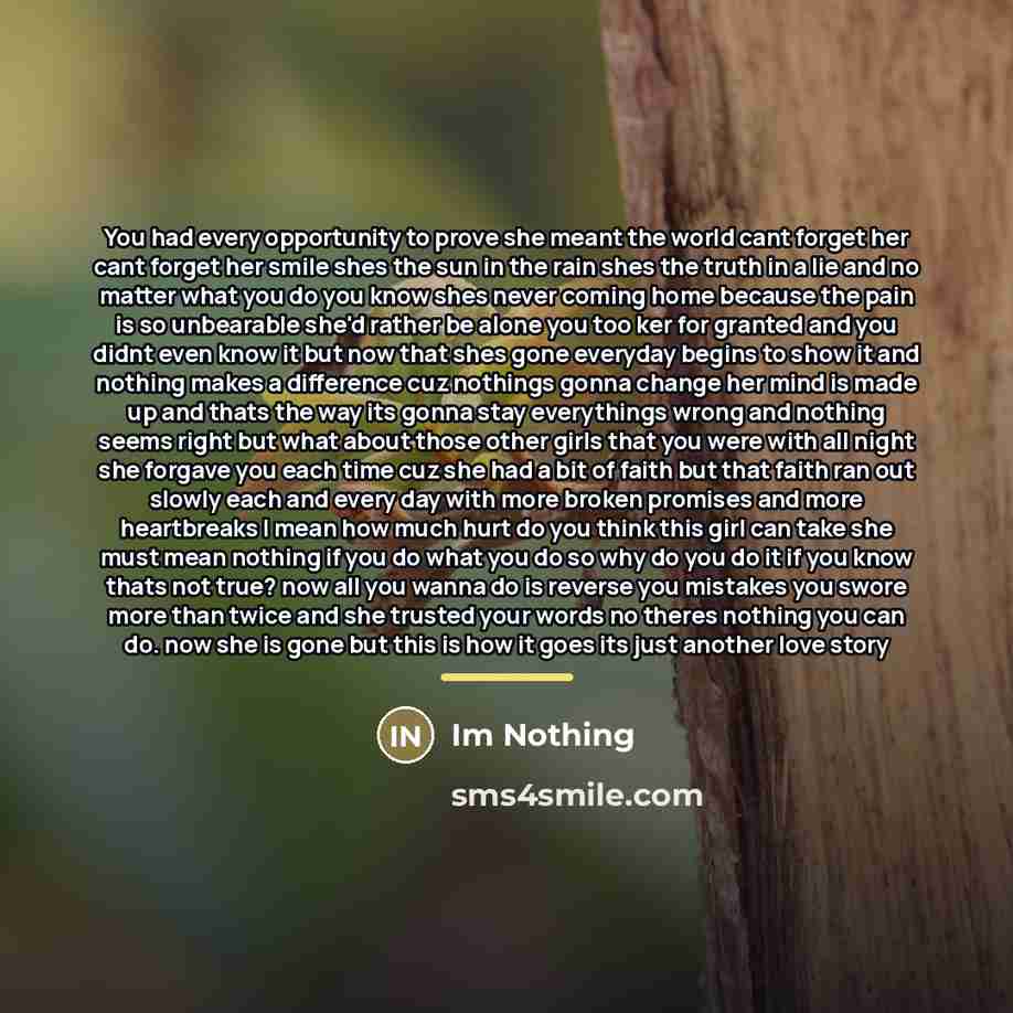 “You had every opportunity to prove she meant the world…” quote by Im Nothing