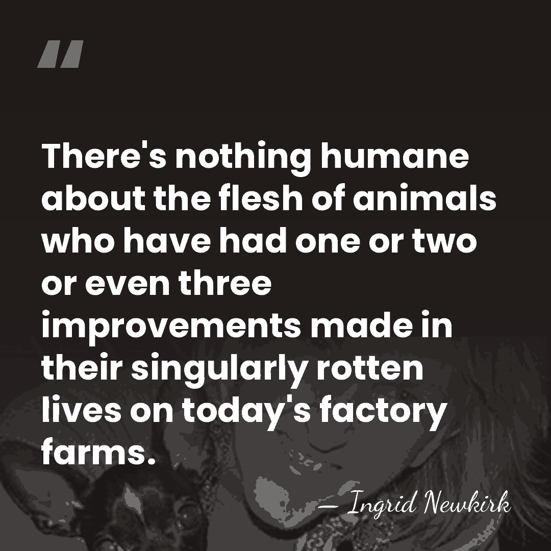 There's nothing humane about the flesh of animals who have had one&hellip; - Ingrid Newkirk