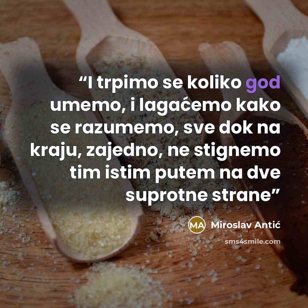 “I trpimo se koliko god umemo, i lagaćemo kako se razumemo, sve dok na kraju, zajedno, ne﻿ stignemo tim istim putem na dve suprotne strane” quote by Miroslav Antić