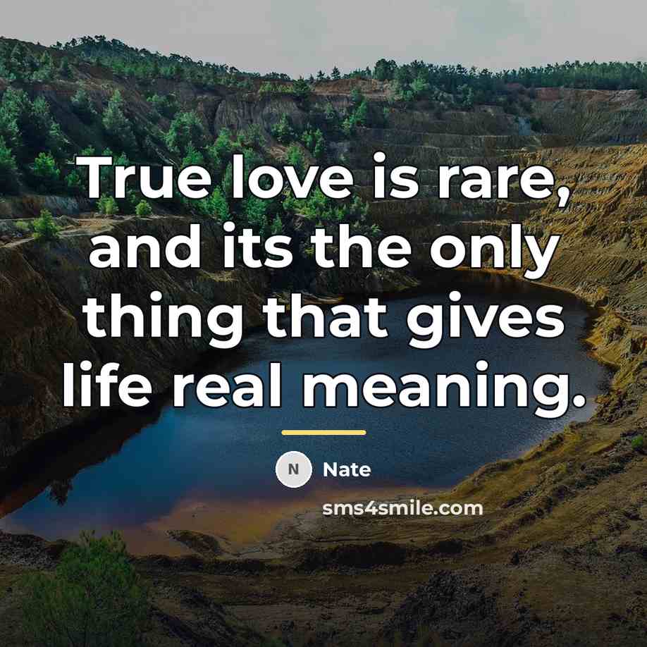 “True love is rare, and its the only thing that…” quote by Nate