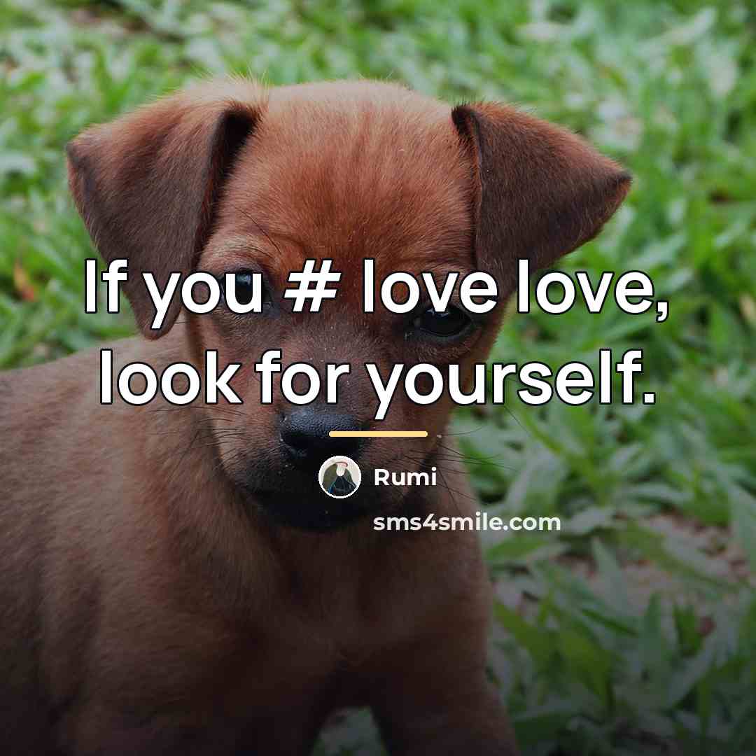 “If you # love love, look for yourself.…” quote by Rumi
