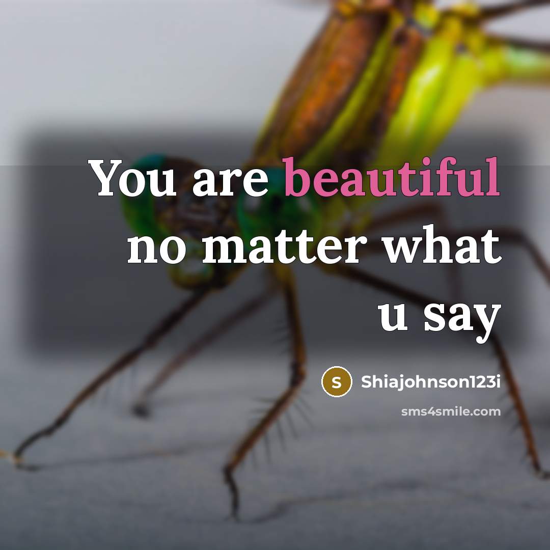 “You are beautiful no matter what u say…” quote by Shiajohnson123i