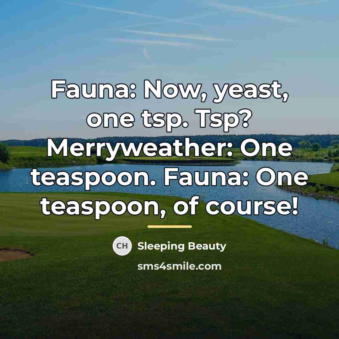 “Fauna: Now, yeast, one tsp. Tsp? Merryweather: One teaspoon. Fauna:…” quote by Sleeping Beauty