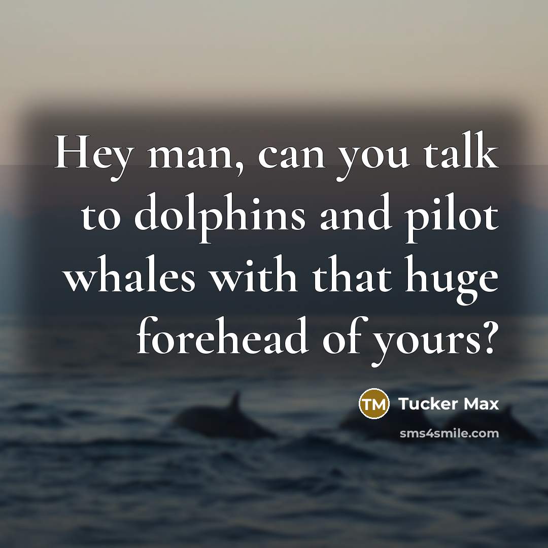 “Hey man, can you talk to dolphins and pilot whales…” quote by Tucker Max