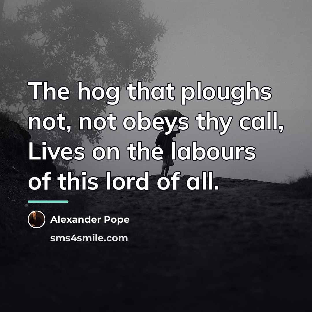 “The hog that ploughs not, not obeys thy call, Lives…” quote by Alexander Pope