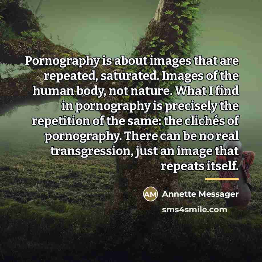 “Pornography is about images that are repeated, saturated. Images of…” quote by Annette Messager