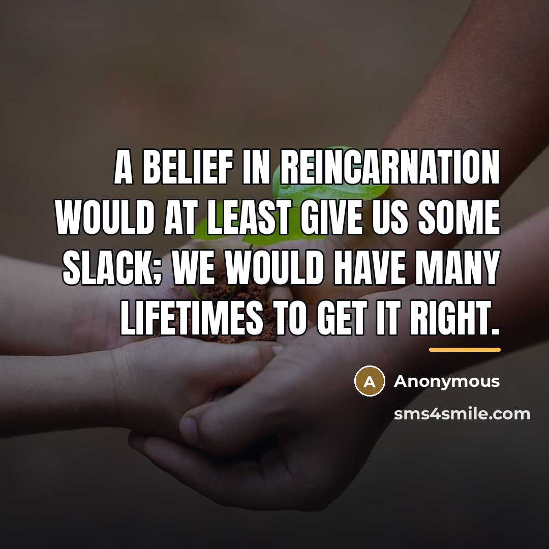 “A belief in reincarnation would at least give us some…” quote by Anonymous