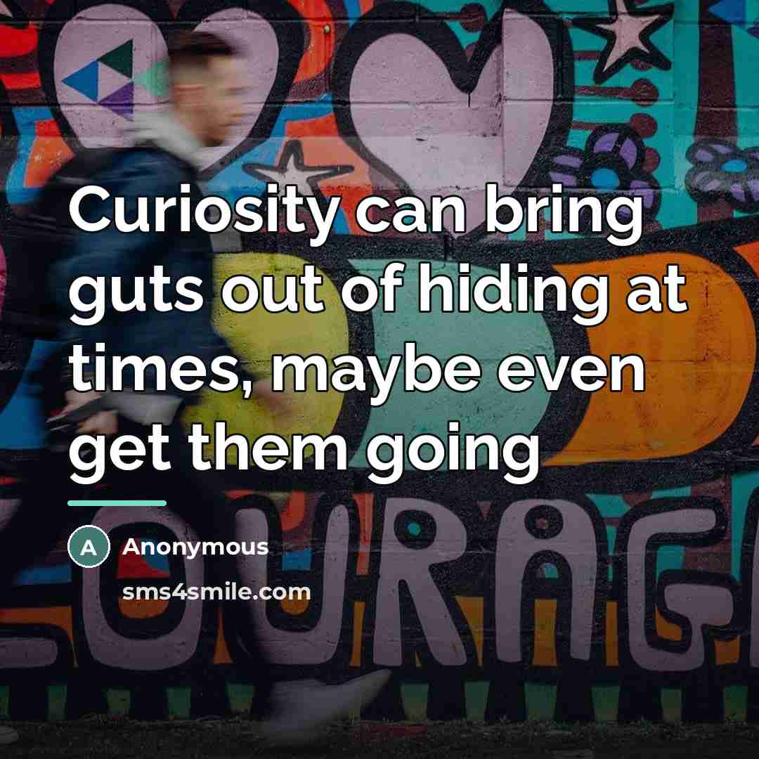 “Curiosity can bring guts out of hiding at times, maybe…” quote by Anonymous