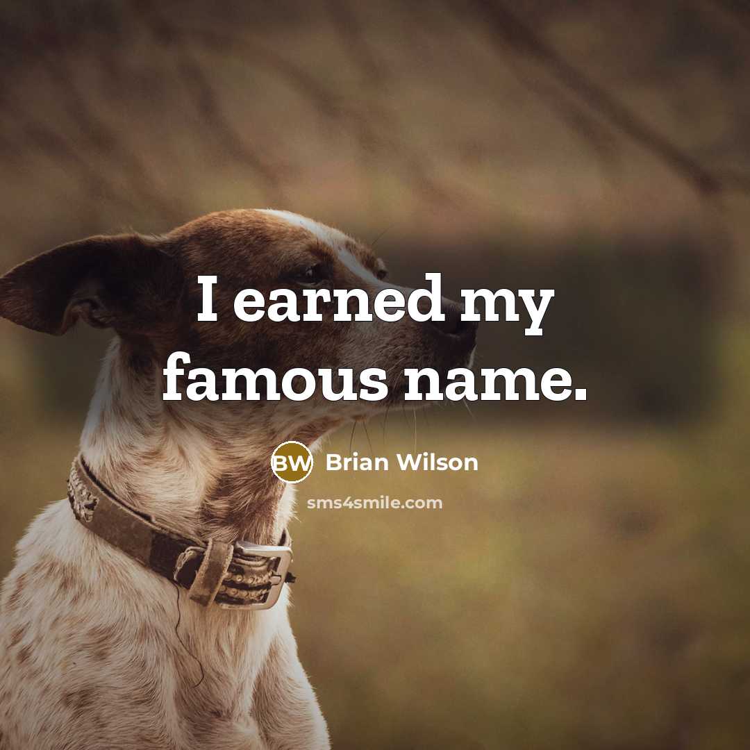 “I earned my famous name.” quote by Brian Wilson
