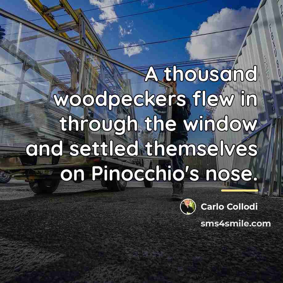 “A thousand woodpeckers flew in through the window and settled…” quote by Carlo Collodi