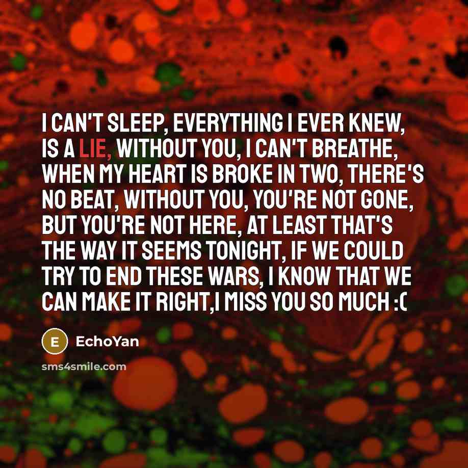 “I can't sleep, everything I ever knew, Is a lie,…” quote by EchoYan