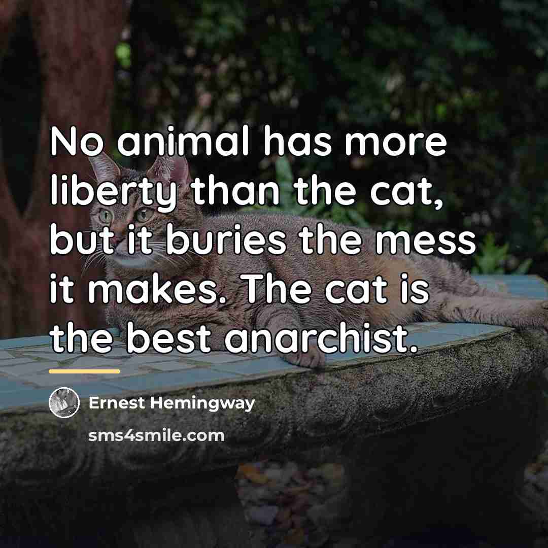 “No animal has more liberty than the cat, but it…” quote by Ernest Hemingway