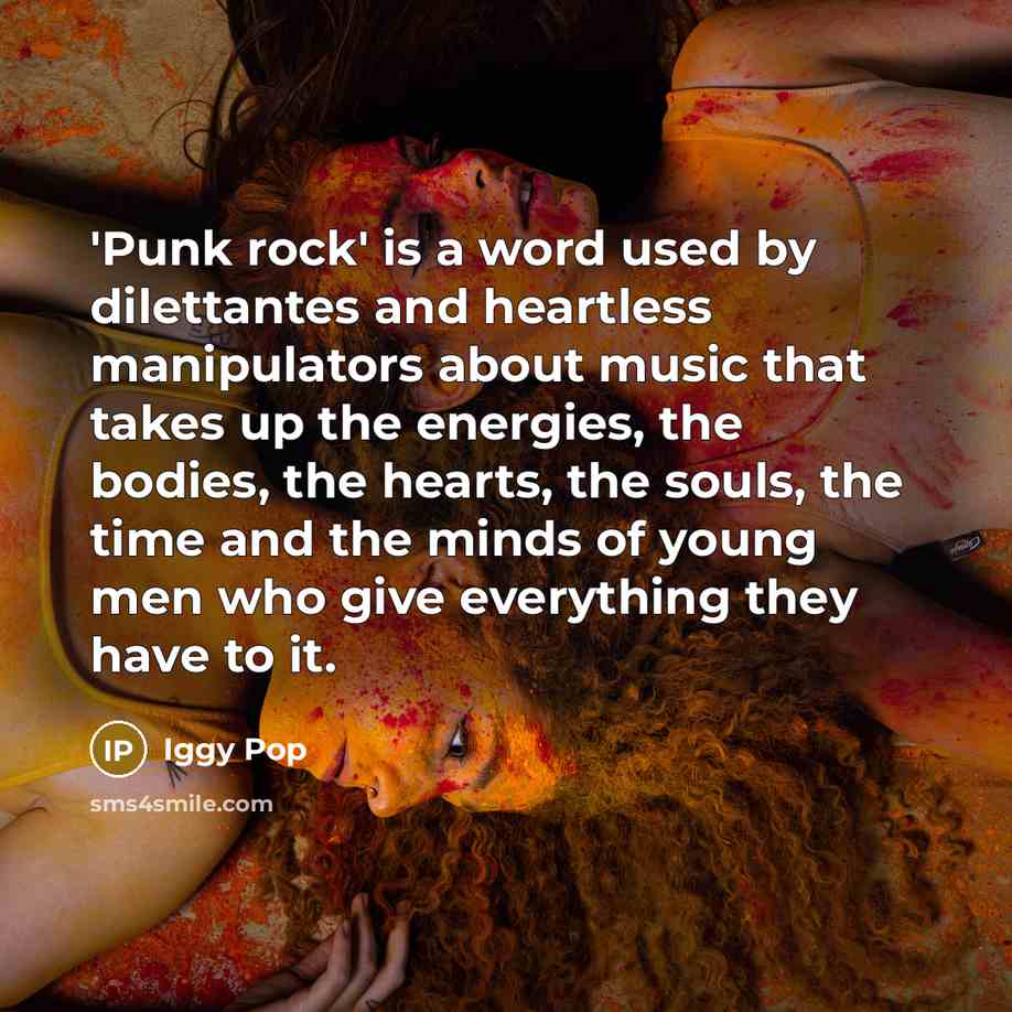 “'Punk rock' is a word used by dilettantes and heartless…” quote by Iggy Pop