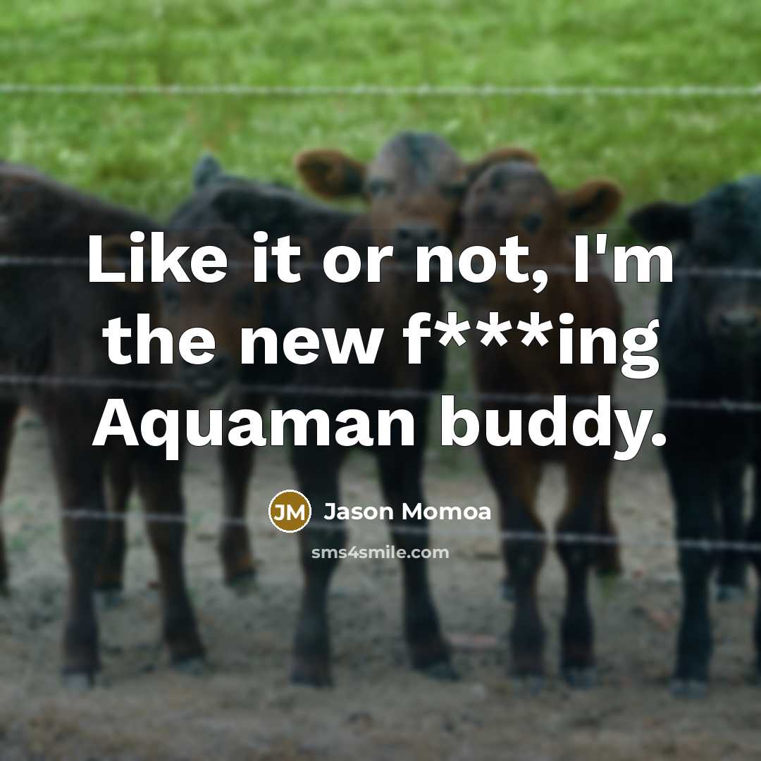 “Like it or not, I'm the new f***ing Aquaman buddy.…” quote by Jason Momoa