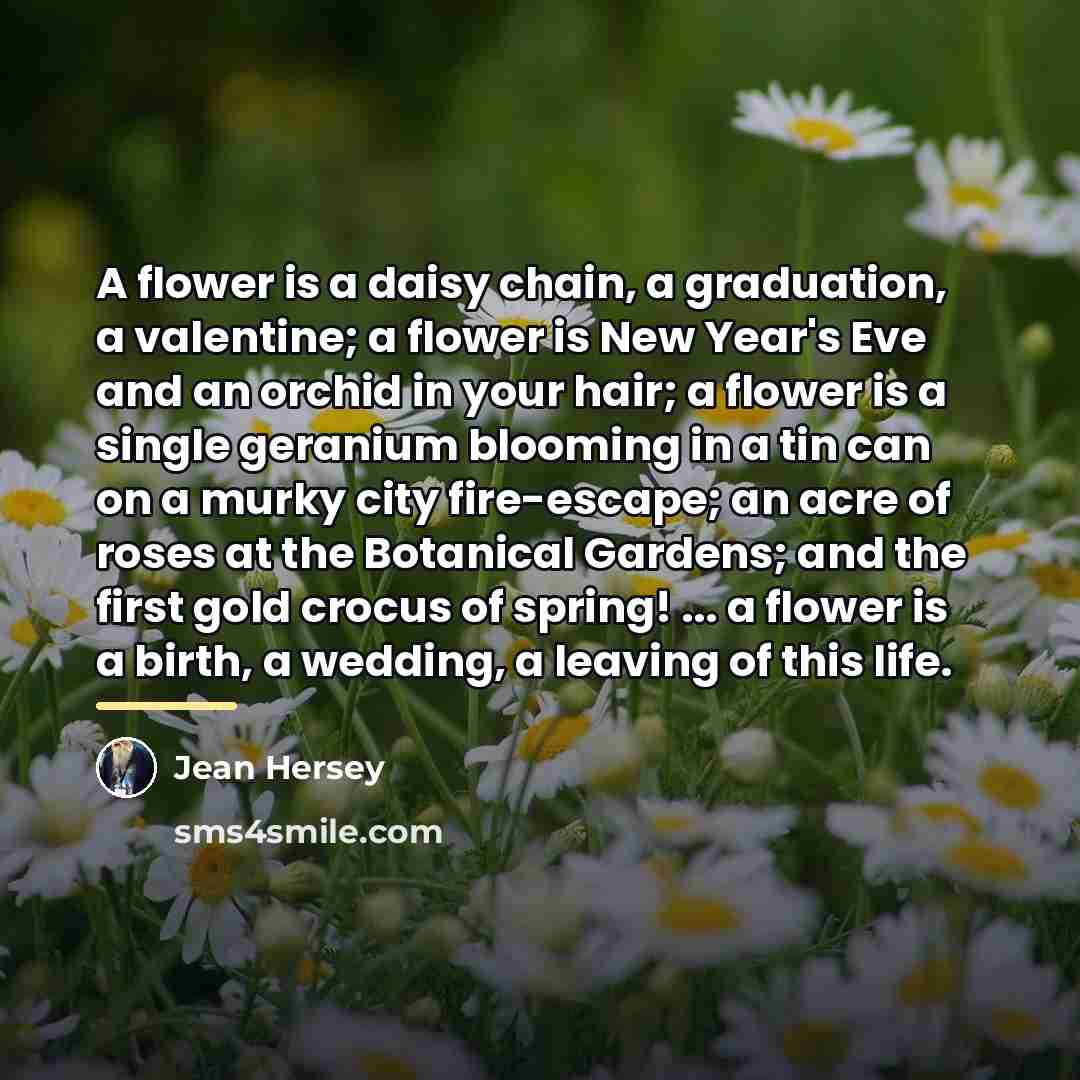 “A flower is a daisy chain, a graduation, a valentine;…” quote by Jean Hersey