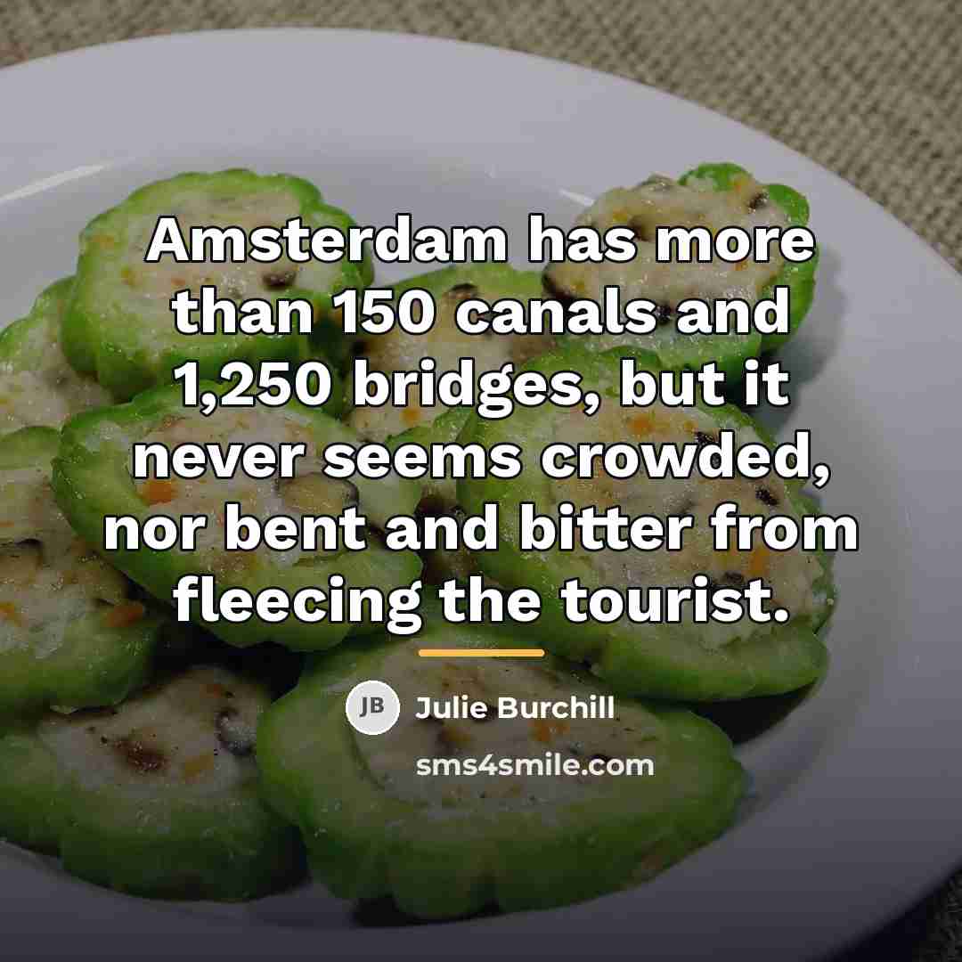 “Amsterdam has more than 150 canals and 1,250 bridges, but…” quote by Julie Burchill