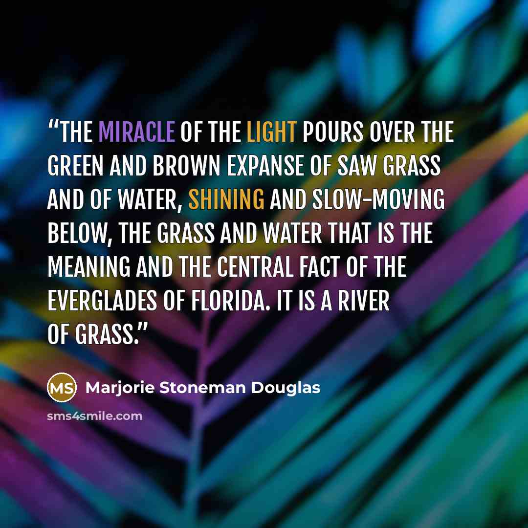 “The miracle of the light pours over the green and brown expanse of saw grass and of water, shining and slow-moving below, the grass and water that is the meaning and the central fact of the Everglades of Florida. It is a river of grass.” quote by Marjorie Stoneman Douglas