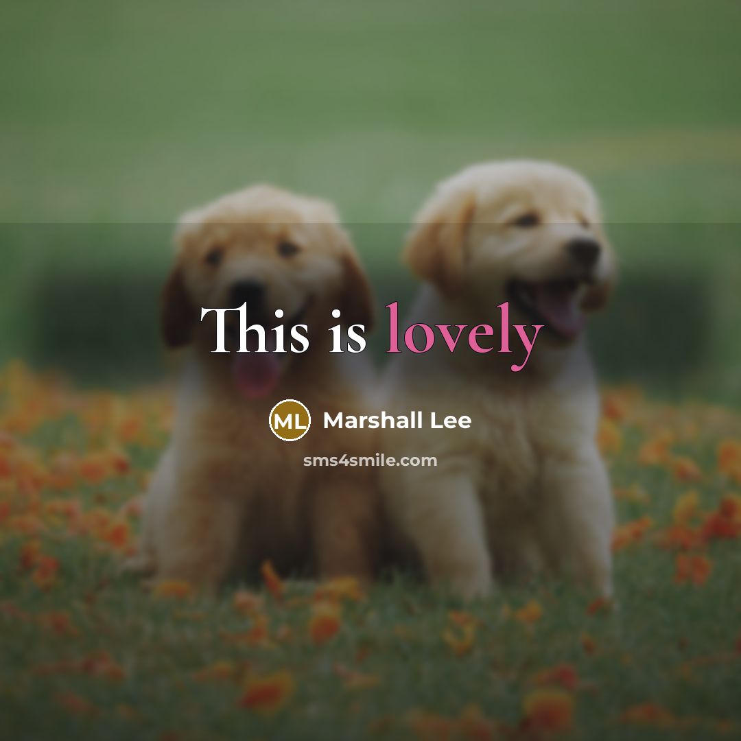 “This is lovely” quote by Marshall Lee