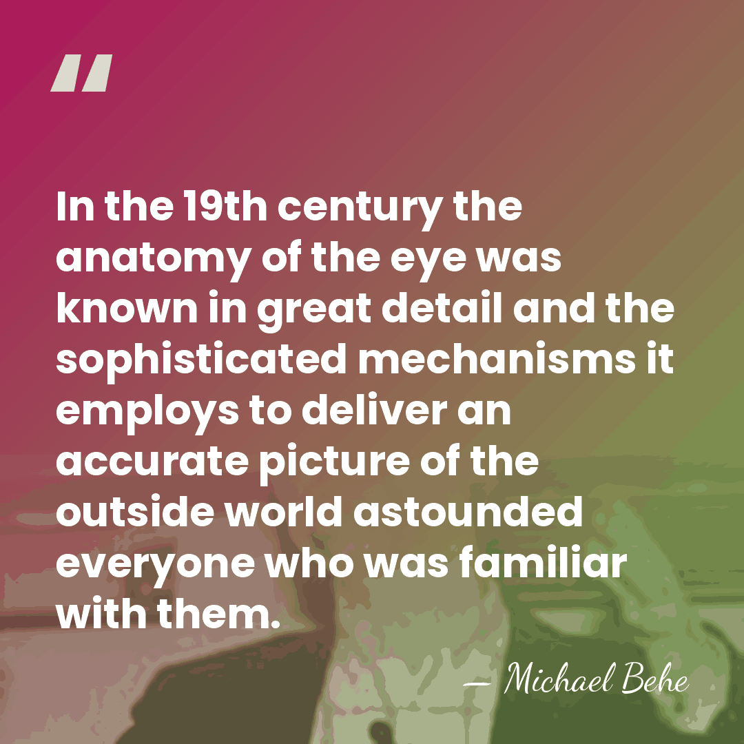 In the 19th century the anatomy of the eye was known in&hellip; - Michael Behe