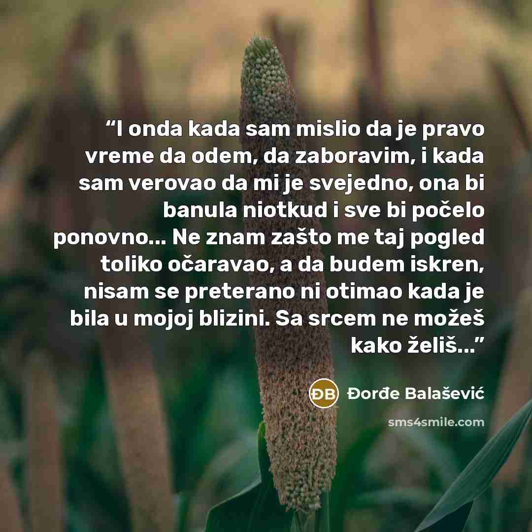 “I onda kada sam mislio da je pravo vreme da odem, da zaboravim, i kada sam verovao da mi je svejedno, ona bi banula niotkud i sve bi počelo ponovno... Ne znam zašto me taj pogled toliko očaravao, a da budem iskren, nisam se preterano ni otimao kada je bila u mojoj blizini. Sa srcem ne možeš kako…” quote by Đorđe Balašević