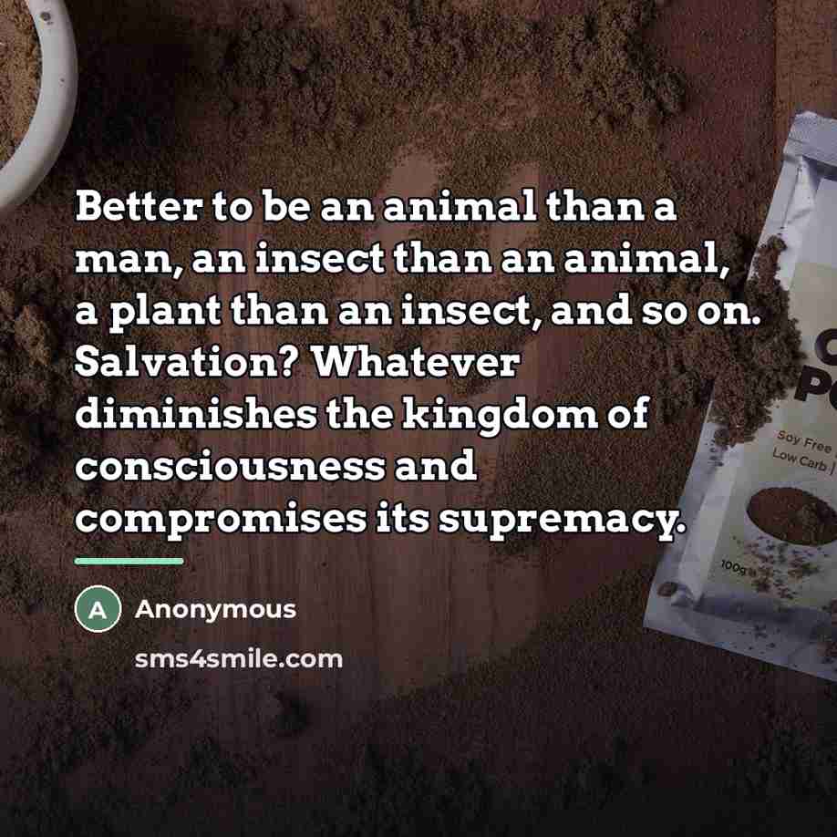 “Better to be an animal than a man, an insect…” quote by Anonymous